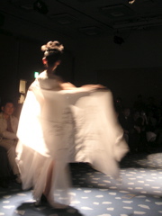 A few dresses had beautiful Japanese painting-on-silk (very little technology though)